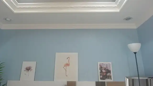 salome veles online show from 07-24-26, 05:11
