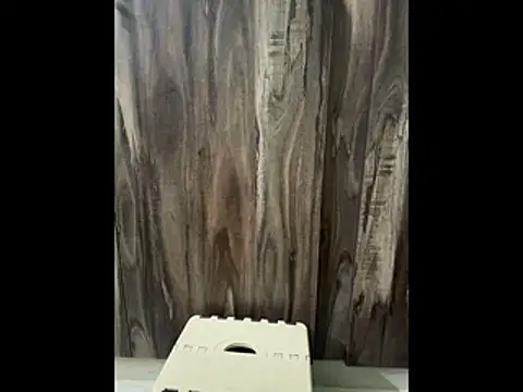 SatBull007 online show from 11-23-25, 07:52