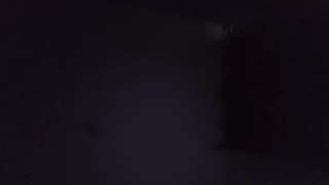 Taz balls online show from 07-02-26, 05:13