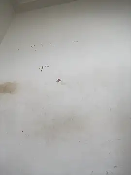 Hot-TEEE online show from 07-24-26, 07:50