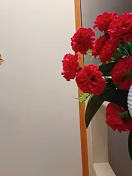 Peachyvibrs online show from 07-23-26, 05:27