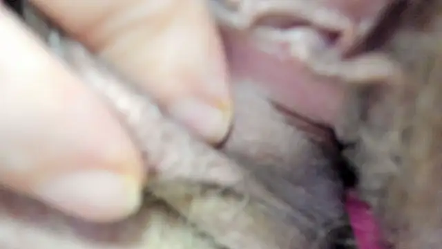 vitabox online show from 09-21-25, 06:20