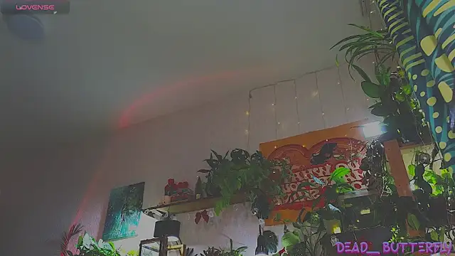 Snapshot of Dead_Butterfly chatting on 12-18-24, 11:02 Dead Butterfly online show from 12-18-24, 11:02
