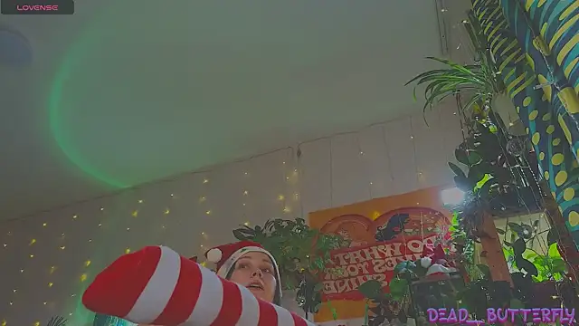 Snapshot of Dead_Butterfly chatting on 12-27-24, 04:15 Dead Butterfly online show from 12-27-24, 04:15