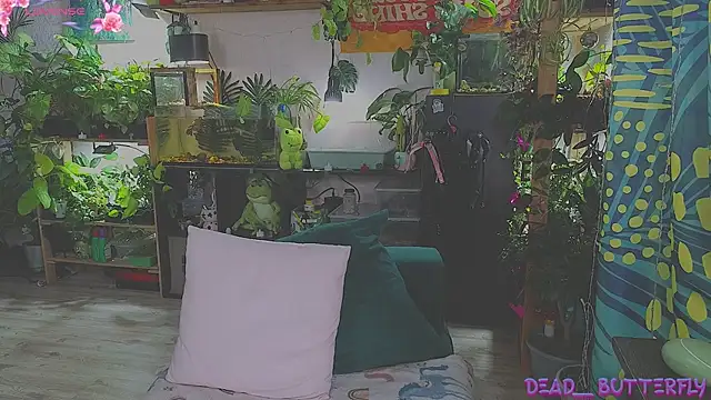 Snapshot of Dead_Butterfly chatting on 02-16-25, 04:20 Dead Butterfly online show from 02-16-25, 04:20