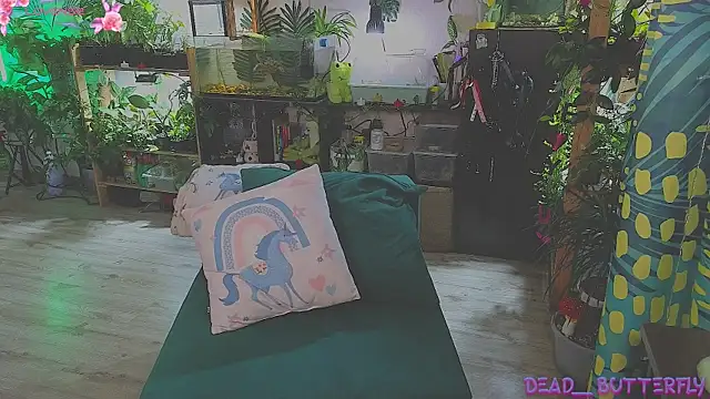 Snapshot of Dead_Butterfly chatting on 03-13-25, 03:33 Dead Butterfly online show from 03-13-25, 03:33