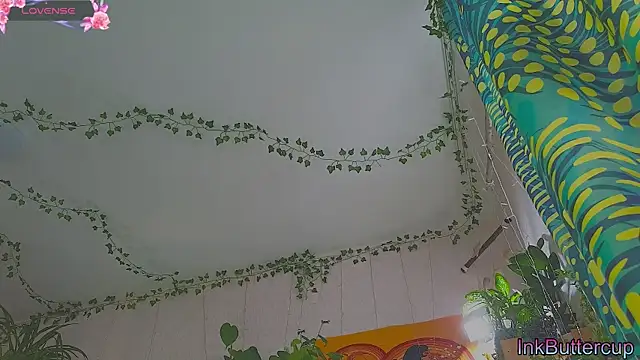 Snapshot of Dead_Butterfly chatting on 09-24-25, 03:32 Dead Butterfly online show from 09-24-25, 03:32