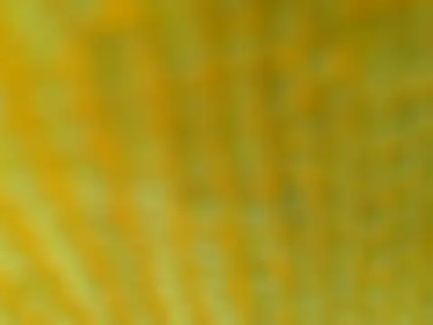 Snapshot of OGXXXOG chatting on 03-16-25, 07:17 OGXXXOG online show from 03-16-25, 07:17