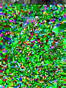 sissyvee online show from 01-15-26, 05:01