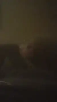 Biknight online show from 12-09-24, 05:07