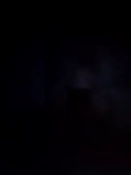 Biknight online show from 12-12-24, 12:59