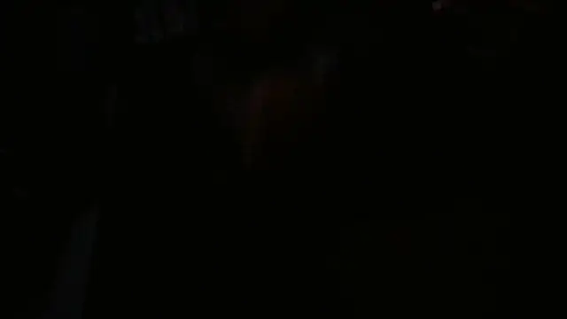 blkwanker online show from 01-23-25, 04:30