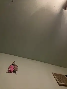 Snapshot of Slumlords chatting on 03-11-26, 03:45 Slumlords online show from 03-11-26, 03:45