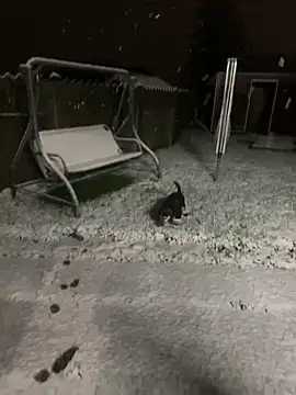 DannaaMeliza online show from 01-09-25, 10:20