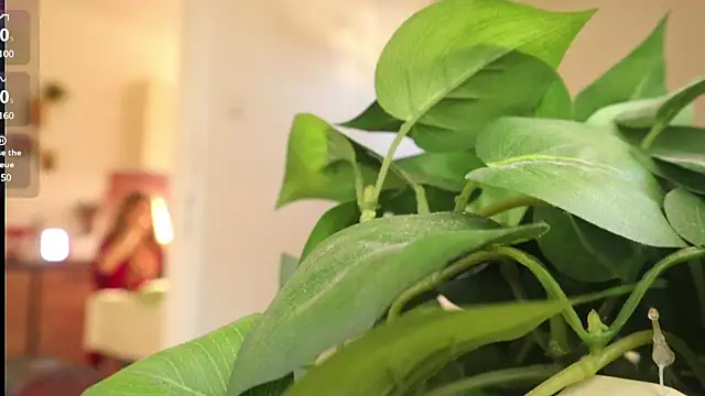 Snapshot of Kishaxxx chatting on 03-06-25, 02:08 Kishaxxx online show from 03-06-25, 02:08