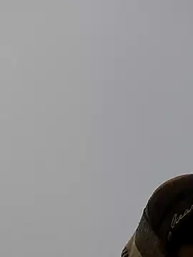 Snapshot of ThethunderPo chatting on 12-27-24, 01:43 ThethunderPo online show from 12-27-24, 01:43