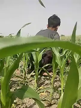 Snapshot of ThethunderPo chatting on 03-05-25, 08:10 ThethunderPo online show from 03-05-25, 08:10