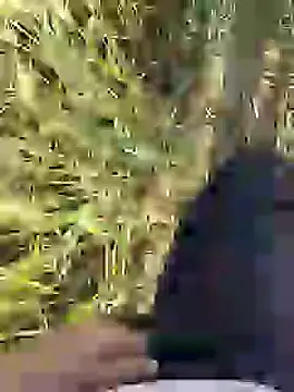 Snapshot of ThethunderPo chatting on 03-18-25, 02:36 ThethunderPo online show from 03-18-25, 02:36