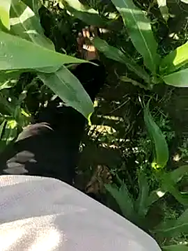 Snapshot of ThethunderPo chatting on 03-19-25, 02:48 ThethunderPo online show from 03-19-25, 02:48