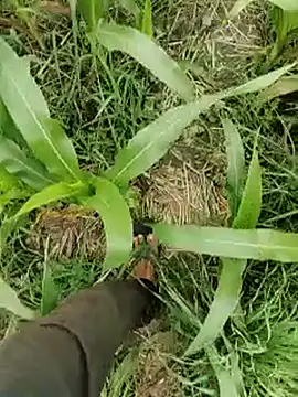 ThethunderPo online show from 03-15-26, 04:29