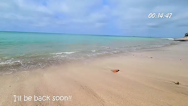 Girl Ksenia online show from 12-29-24, 08:37