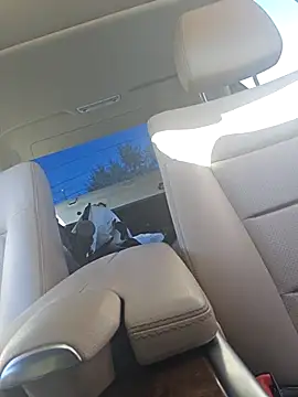 UncutHammer69 online show from 09-28-25, 04:12