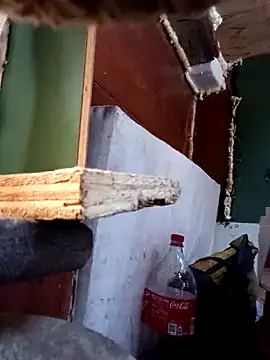 Serapitocojelon online show from 10-28-25, 09:17