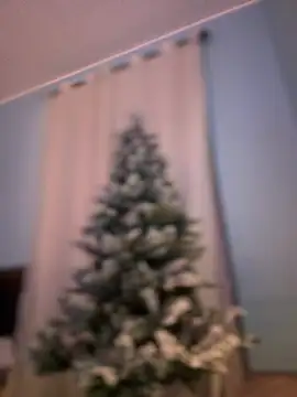 AnastasiaAniess online show from 12-14-24, 05:25