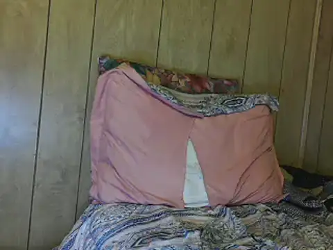 dantehot2020 online show from 12-28-24, 12:04