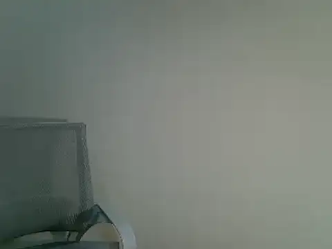 Snapshot of DitaVira chatting on 12-11-24, 08:28 DitaVira online show from 12-11-24, 08:28