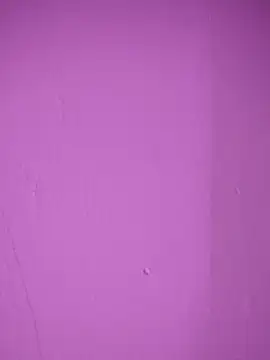 Snapshot of Nisha555 chatting on 12-02-25, 03:29 Nisha555 online show from 12-02-25, 03:29