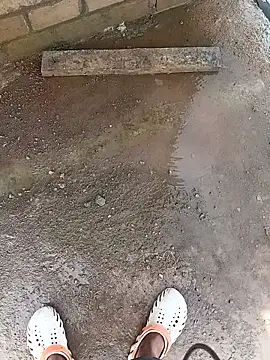 Bengali BULL1 online show from 10-10-25, 04:33