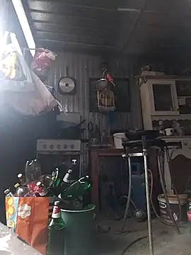 sarpe4 online show from 02-15-26, 02:58