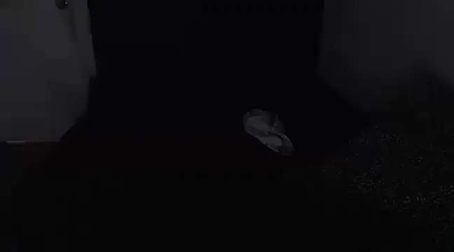 Chanelsexyy online show from 03-16-25, 08:43