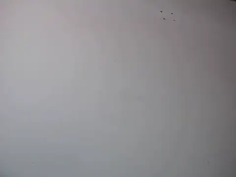 Mia davis01 online show from 01-12-25, 08:14