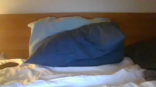 Snapshot of Mehdi-Zarga chatting on 05-02-26, 03:44 Mehdi-Zarga online show from 05-02-26, 03:44