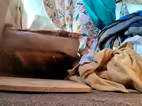 Snapshot of klamper chatting on 01-28-25, 07:42 klamper online show from 01-28-25, 07:42