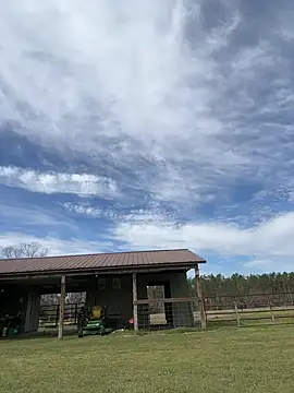 Sitonmyface2020xh online show from 03-03-25, 03:53