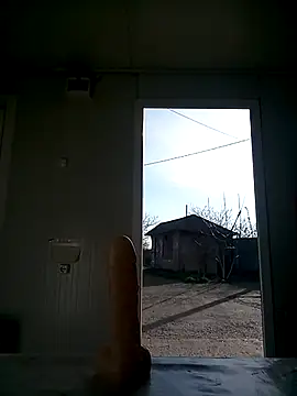 david geam online show from 03-14-25, 06:42