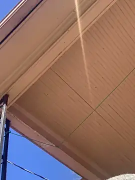 Tristris100 online show from 02-24-25, 08:03