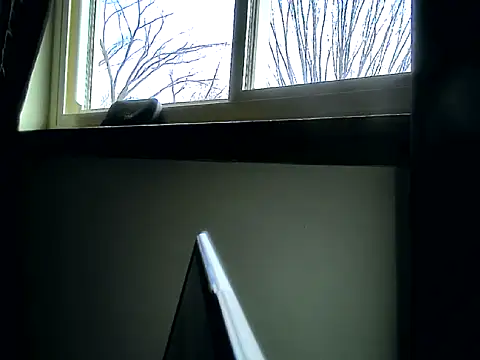 Snapshot of longdick4you8686 chatting on 02-12-25, 03:05 longdick4you8686 online show from 02-12-25, 03:05