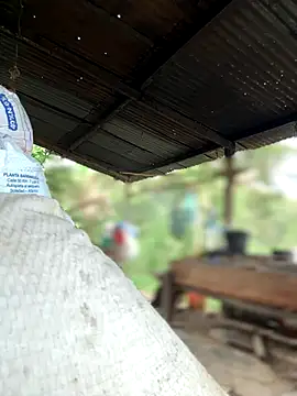 Ixchel Anaid online show from 10-30-25, 02:18