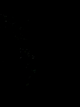 Ixchel Anaid online show from 01-05-26, 11:52