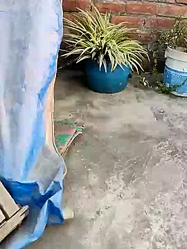 Snapshot of indianSmartboy chatting on 12-21-24, 11:11 indianSmartboy online show from 12-21-24, 11:11