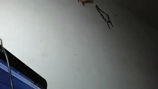 adrixxx38 online show from 03-05-26, 12:17