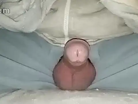 Snapshot of Bigdick666cm chatting on 01-31-25, 06:47 Bigdick666cm online show from 01-31-25, 06:47