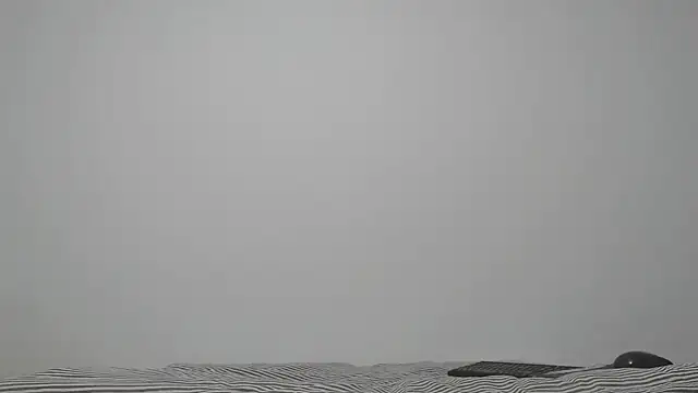 ABIGGAILL online show from 05-19-26, 08:42