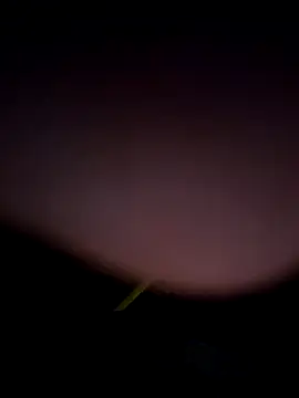 Snapshot of tropikboy chatting on 02-25-26, 12:53 tropikboy online show from 02-25-26, 12:53