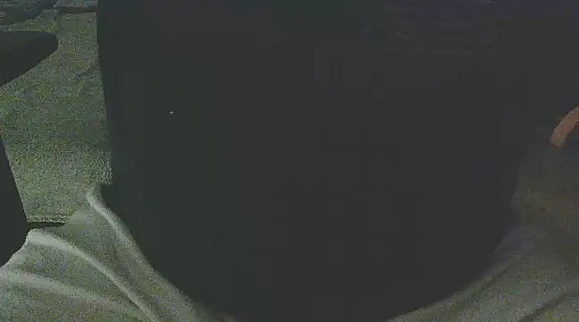 Palimy online show from 02-04-25, 11:16