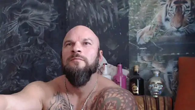 viking 30 online show from 11-04-25, 07:51